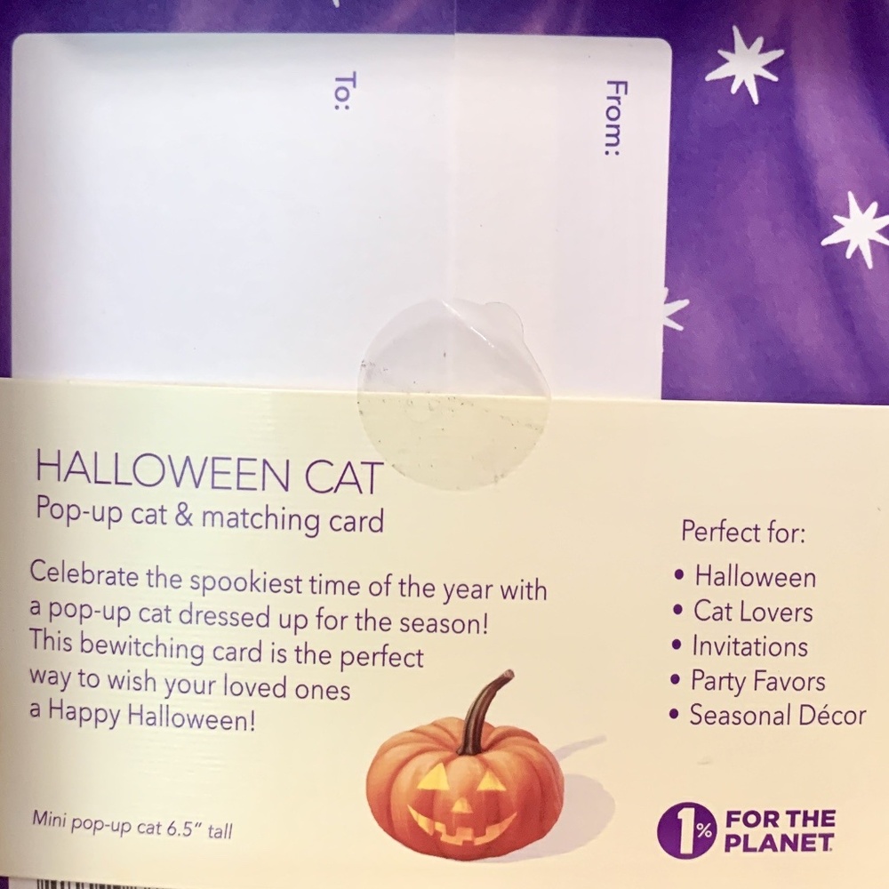 Pop up Greeting Cards 3D Halloween Black Cat In Witch Costume Popup Holiday Gift - Picture 3 of 6